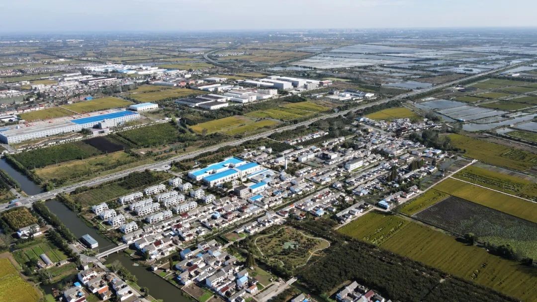 盐城市农业农村局 乡村振兴 建湖恒济镇建河村:做强特色产业,赋能乡村振兴